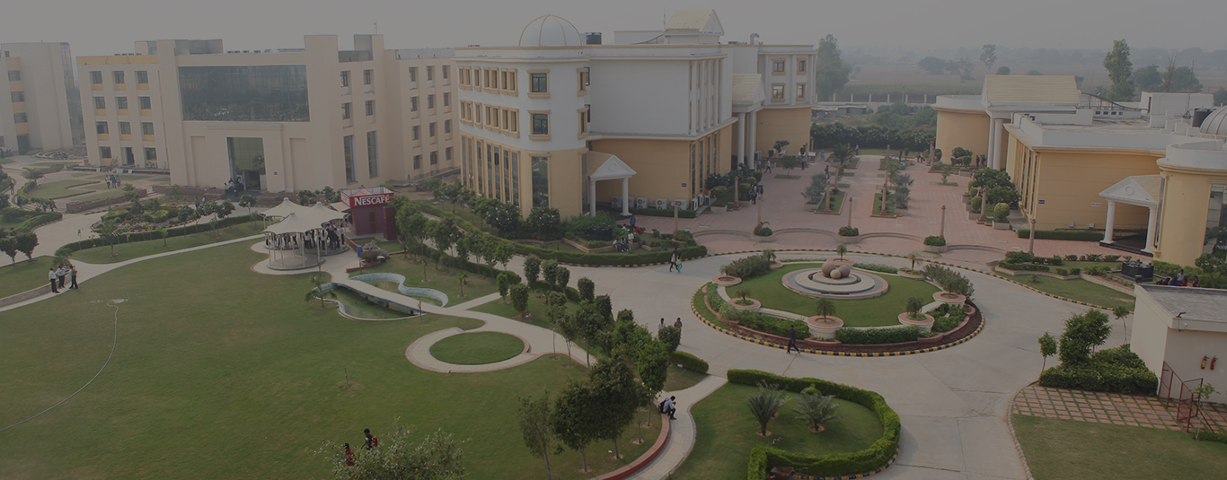 Rawal Institution